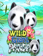 เล่นสล็อต ไม่ ผ่าน เอเย่นต์ กับ PG Soft สนุกกว่าที่คิด